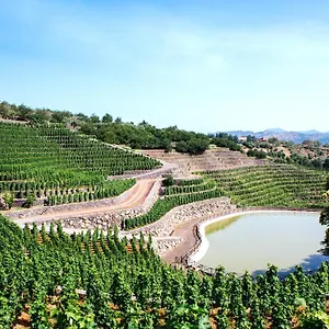 Bauernhof La Gelsomina - Etna, Presa